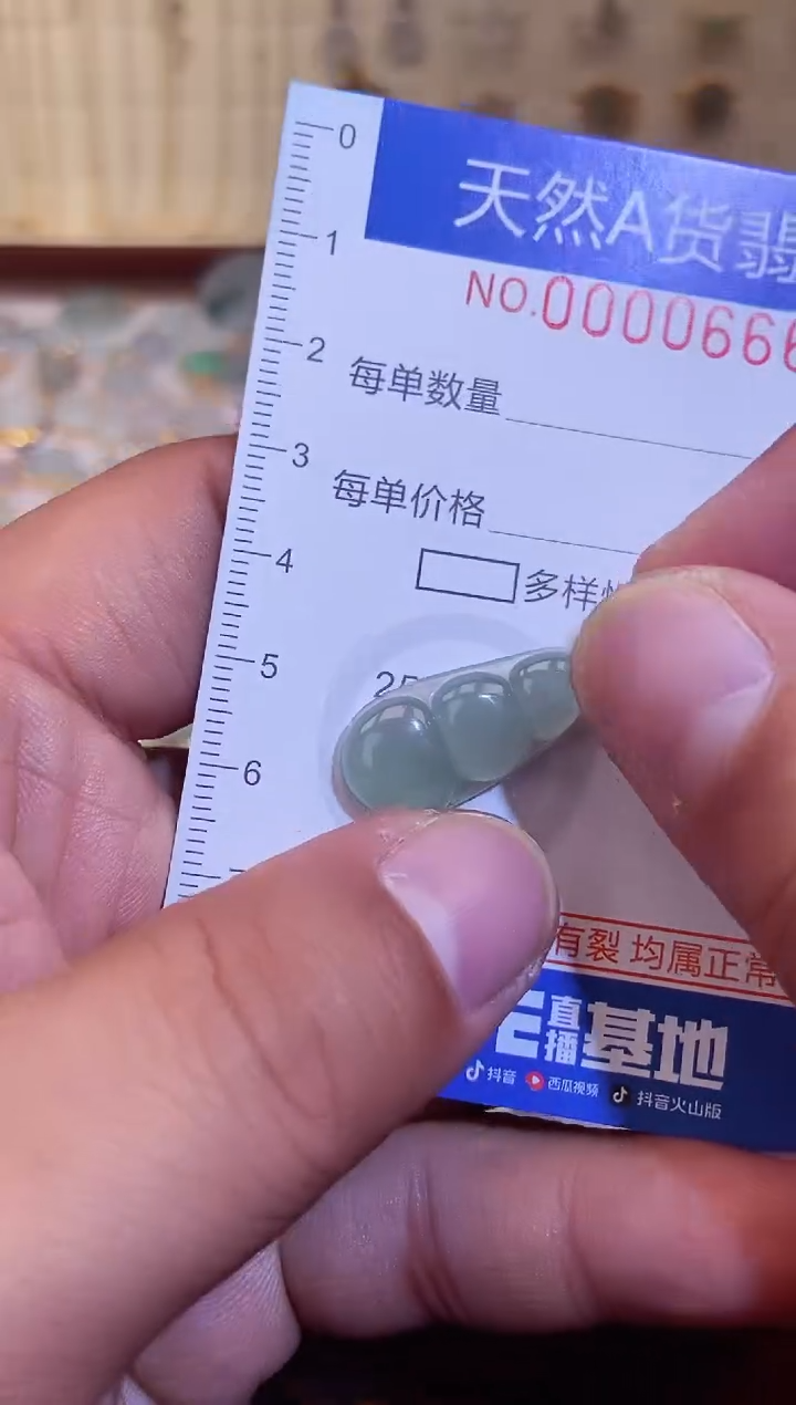 【闪购商品】翡翠颈饰未镶嵌翡翠666