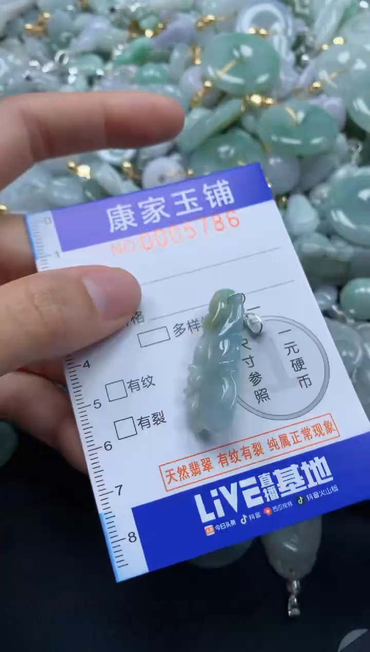 颈饰未镶嵌翡翠5786