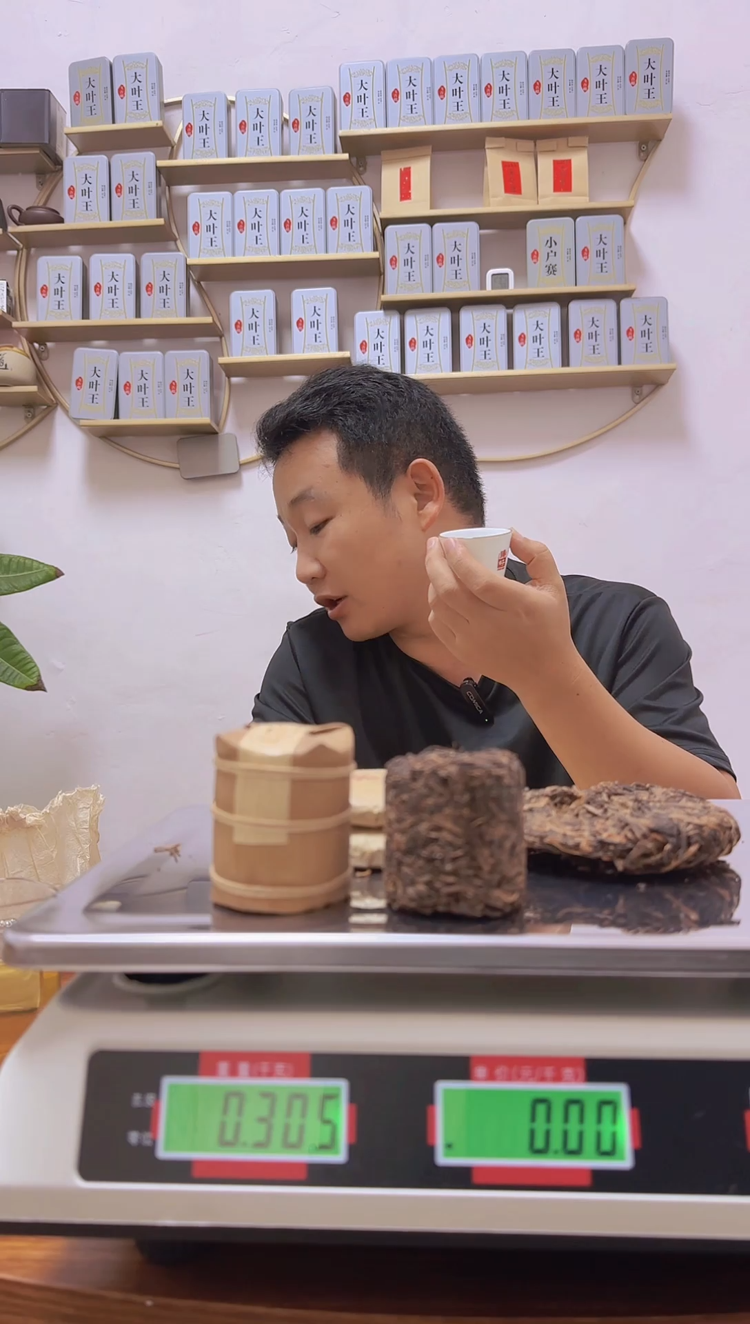 陶老茶云南普洱茶【竞-闪不支持退换】