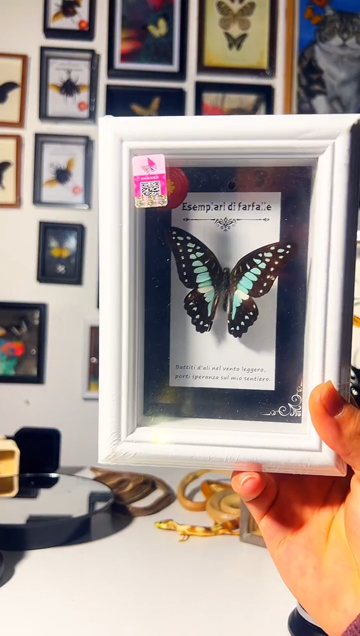 有机玻璃6849489848