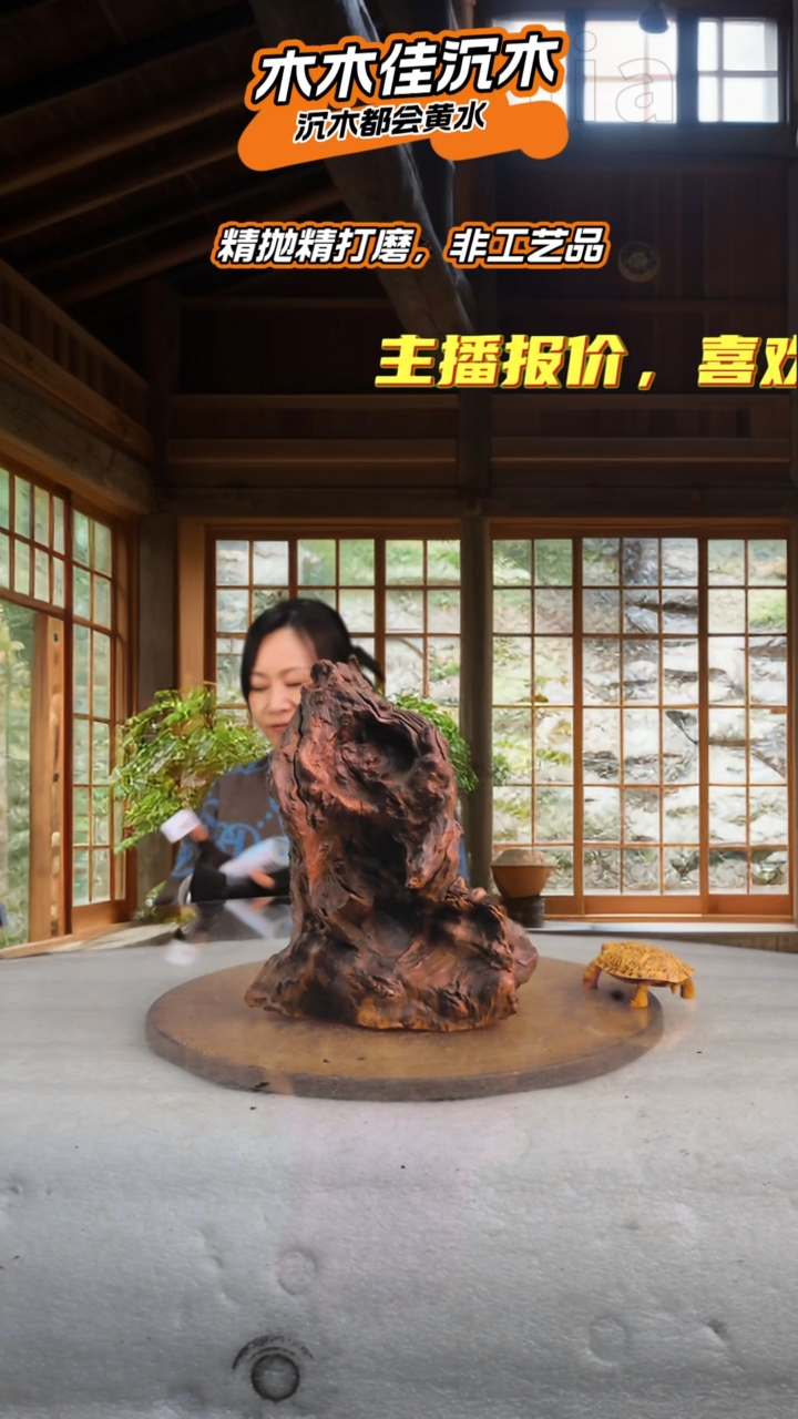 &****✨木木佳沉木鱼缸造景-594