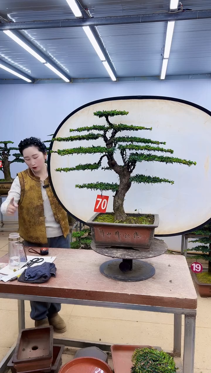 无花朵一物一拍，所见即所得