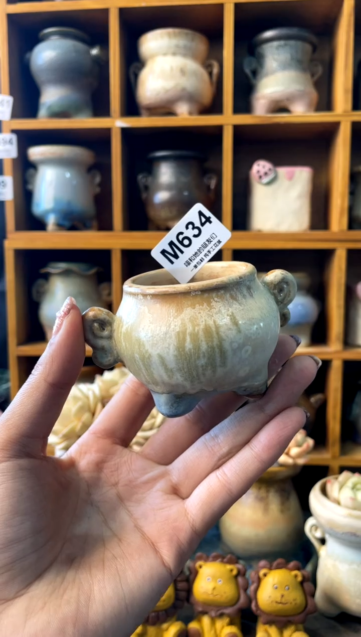 634内口4【多肉花盆多肉盆】