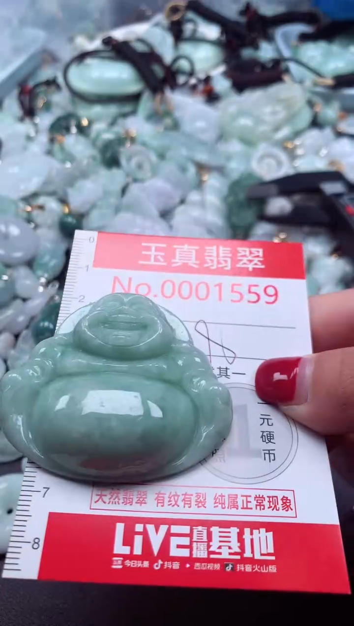 颈饰未镶嵌翡翠1559