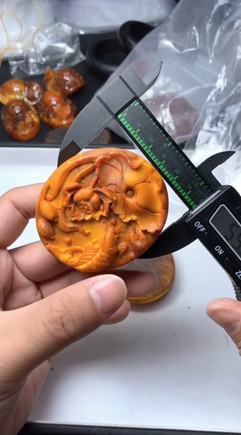 所见即所得141荷花鱼