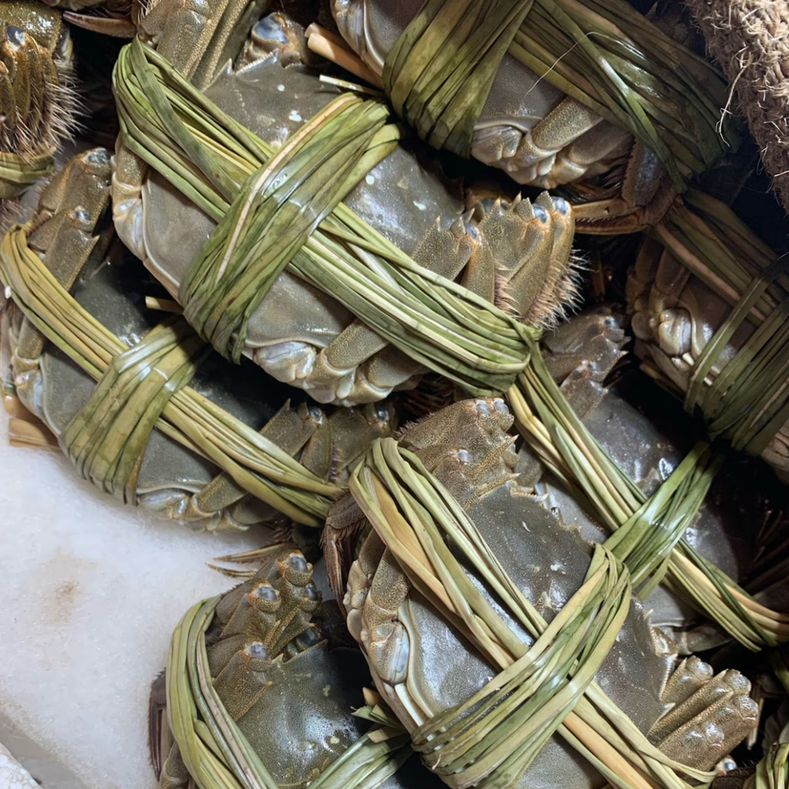 【活蟹】母大闸蟹100元3斤1.8-2两一只