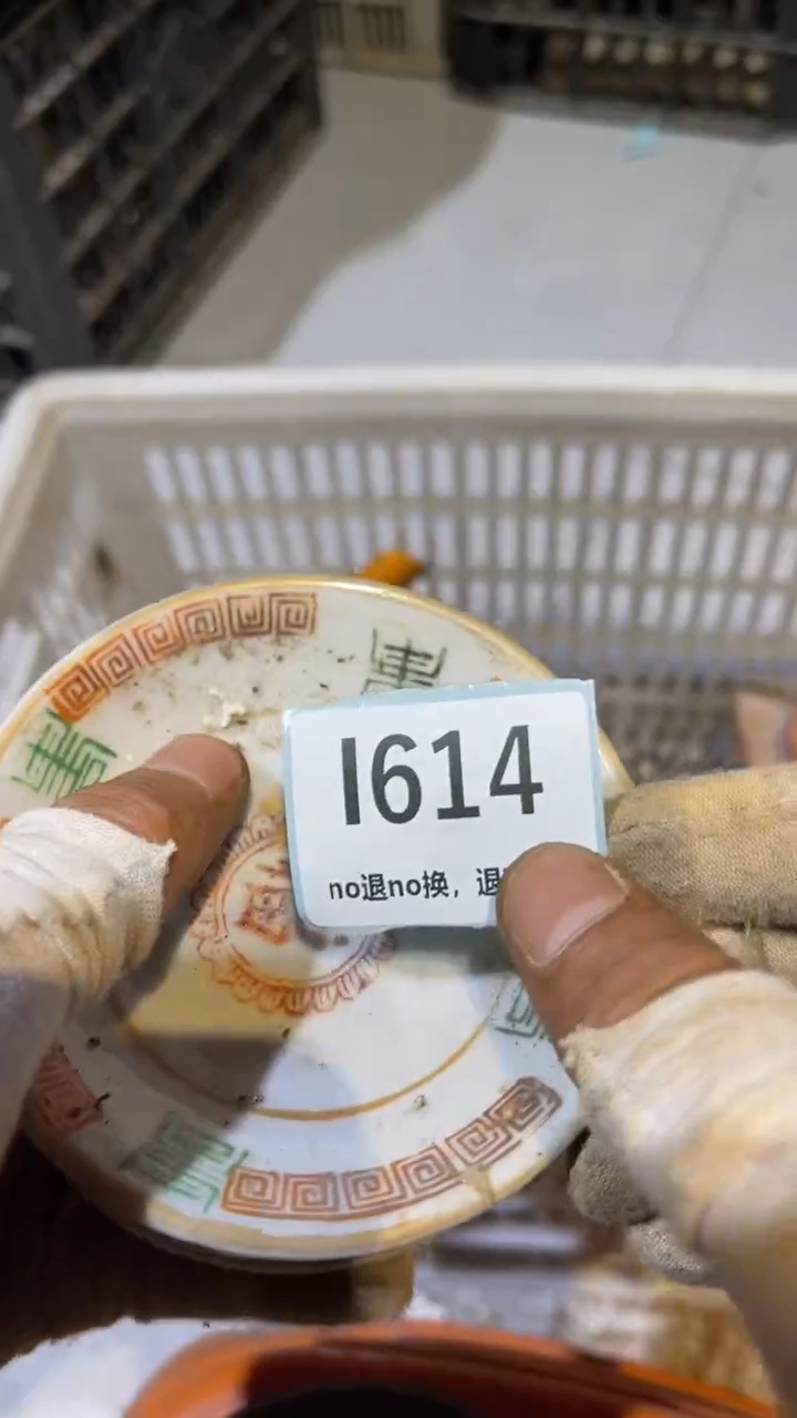 陶瓷用****5跳直播链接火爆热卖