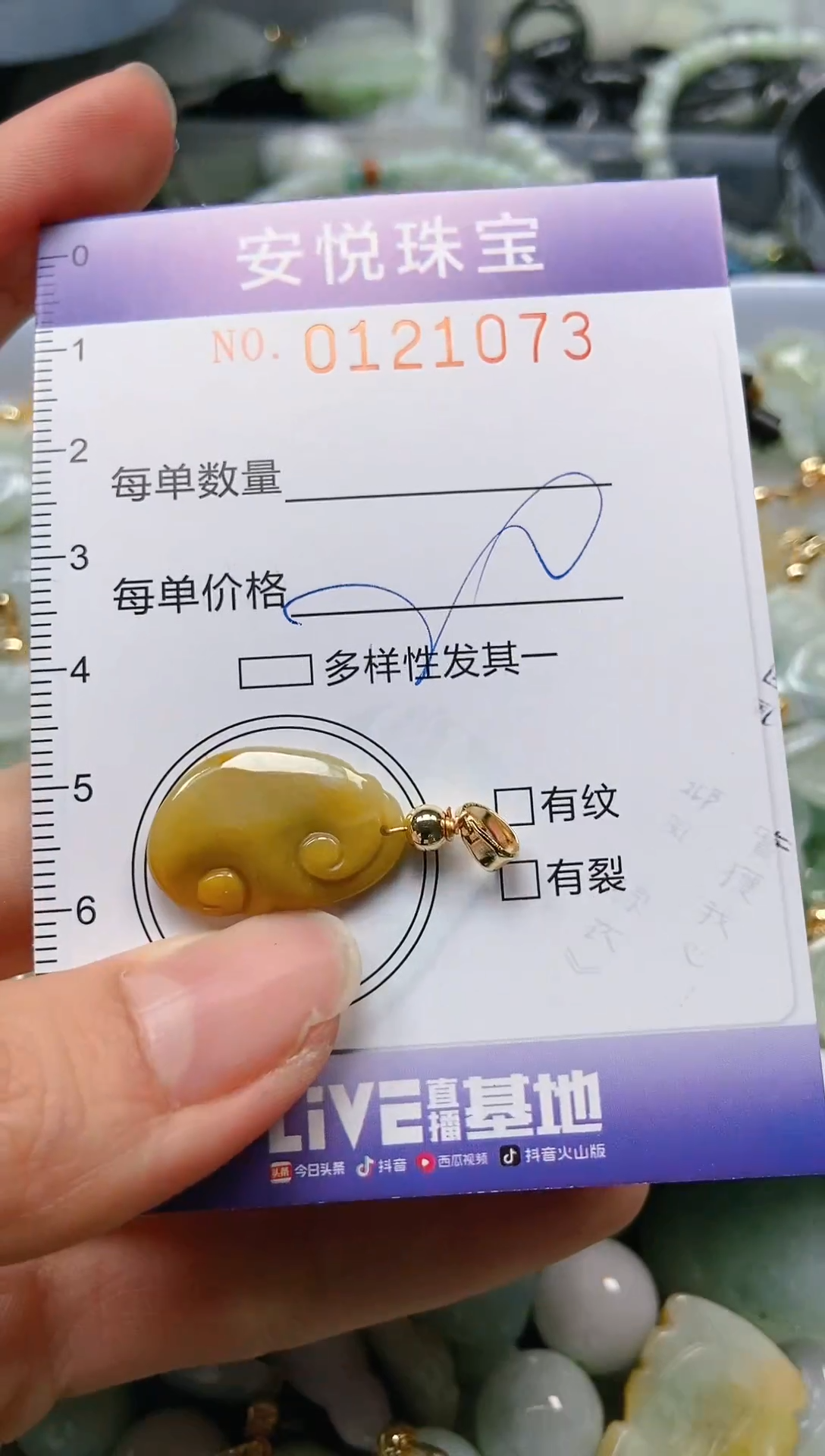 【闪购商品】翡翠颈饰未镶嵌闪购0121073