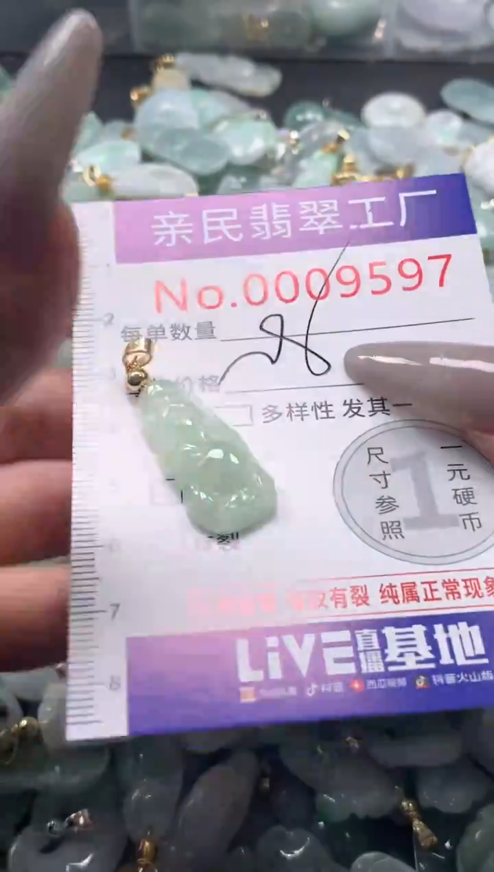 颈饰未镶嵌翡翠9597