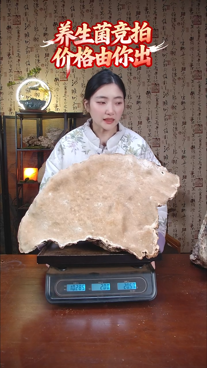 白灵芝中国大陆【藏区野生】白木灵芝（20.68斤）20-30年份