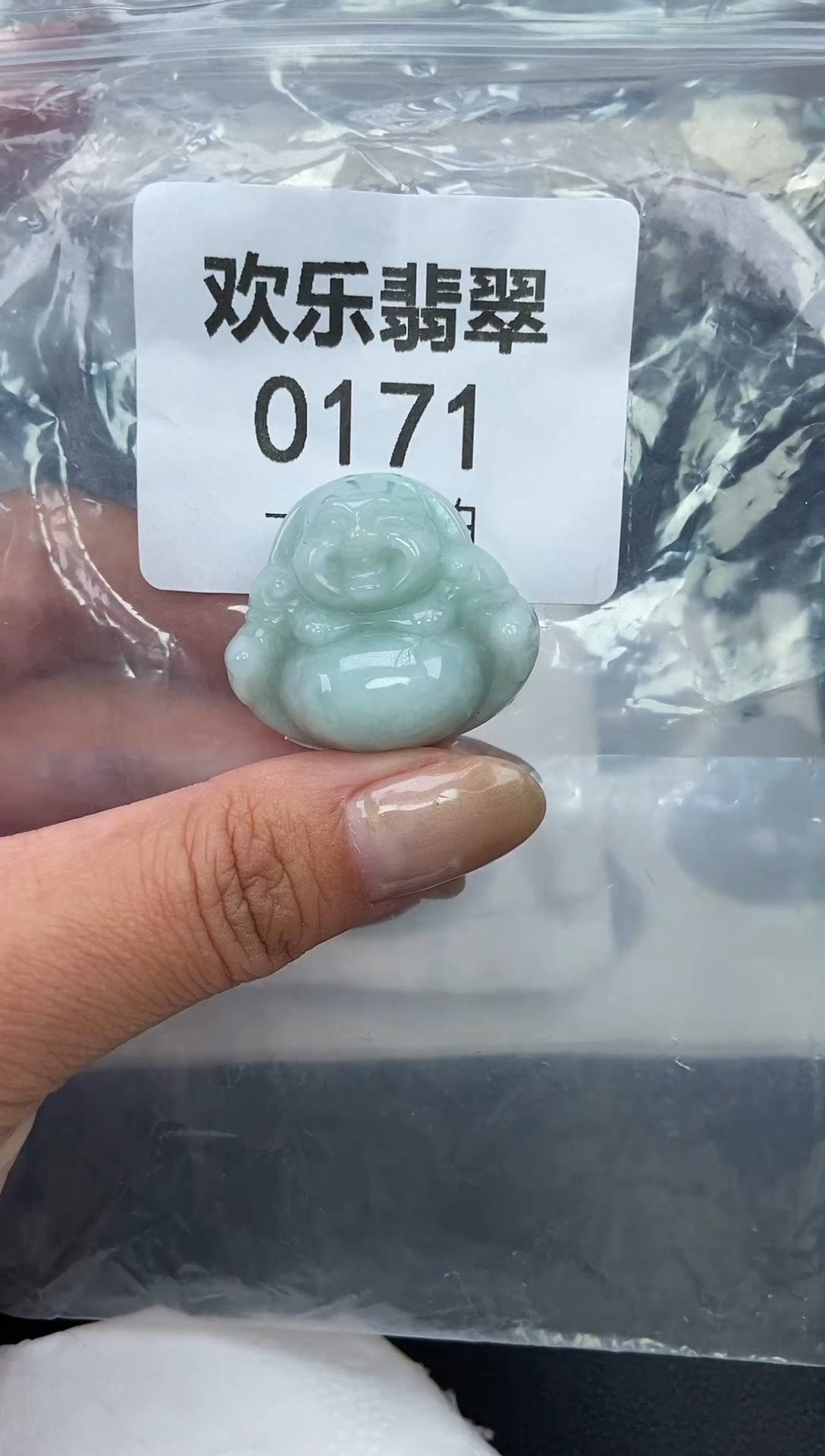 颈饰未镶嵌翡翠缅甸天然翡翠0171