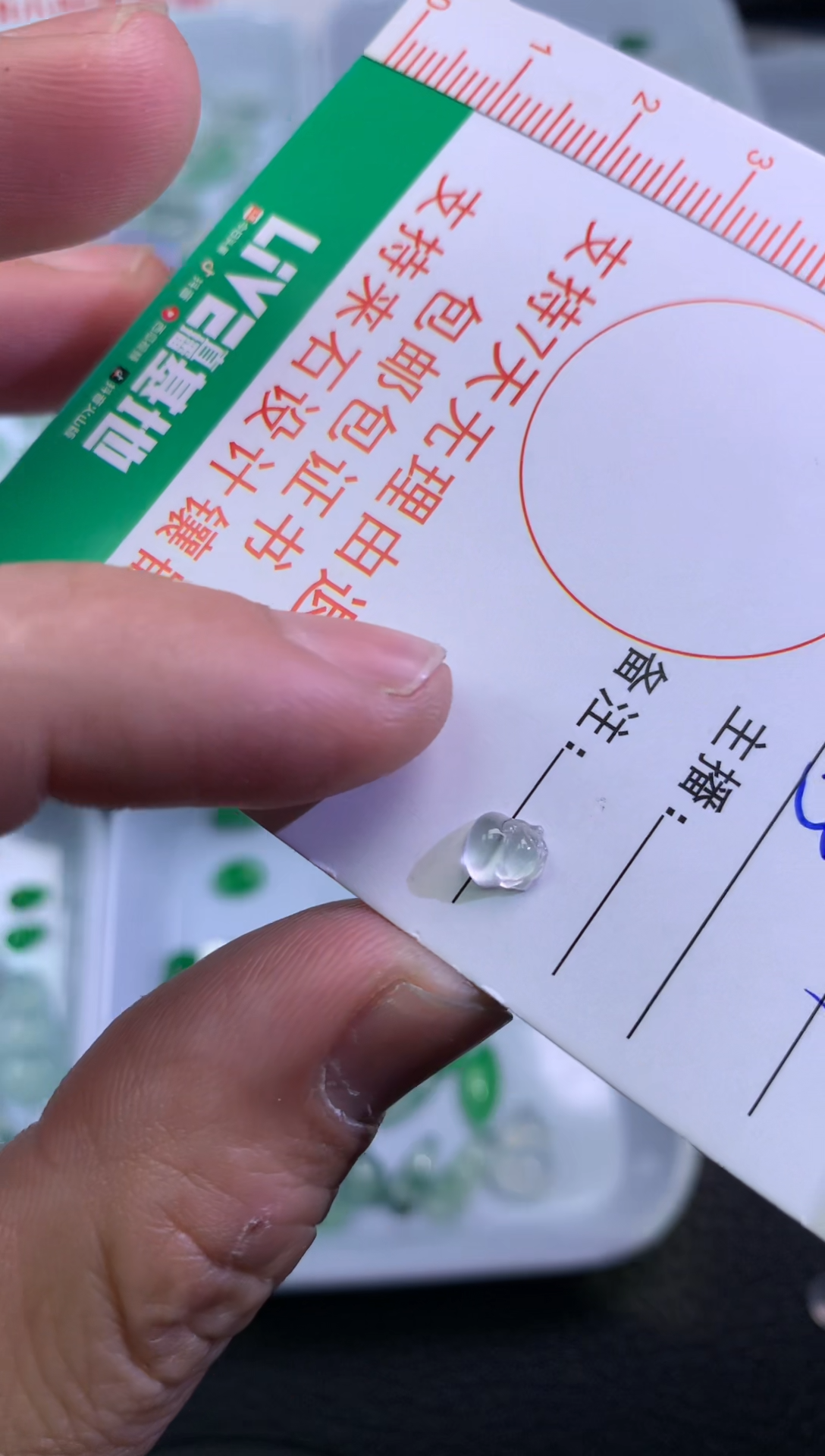 【闪购商品】翡翠颈饰未镶嵌金蝉5.5-5.2-2.5