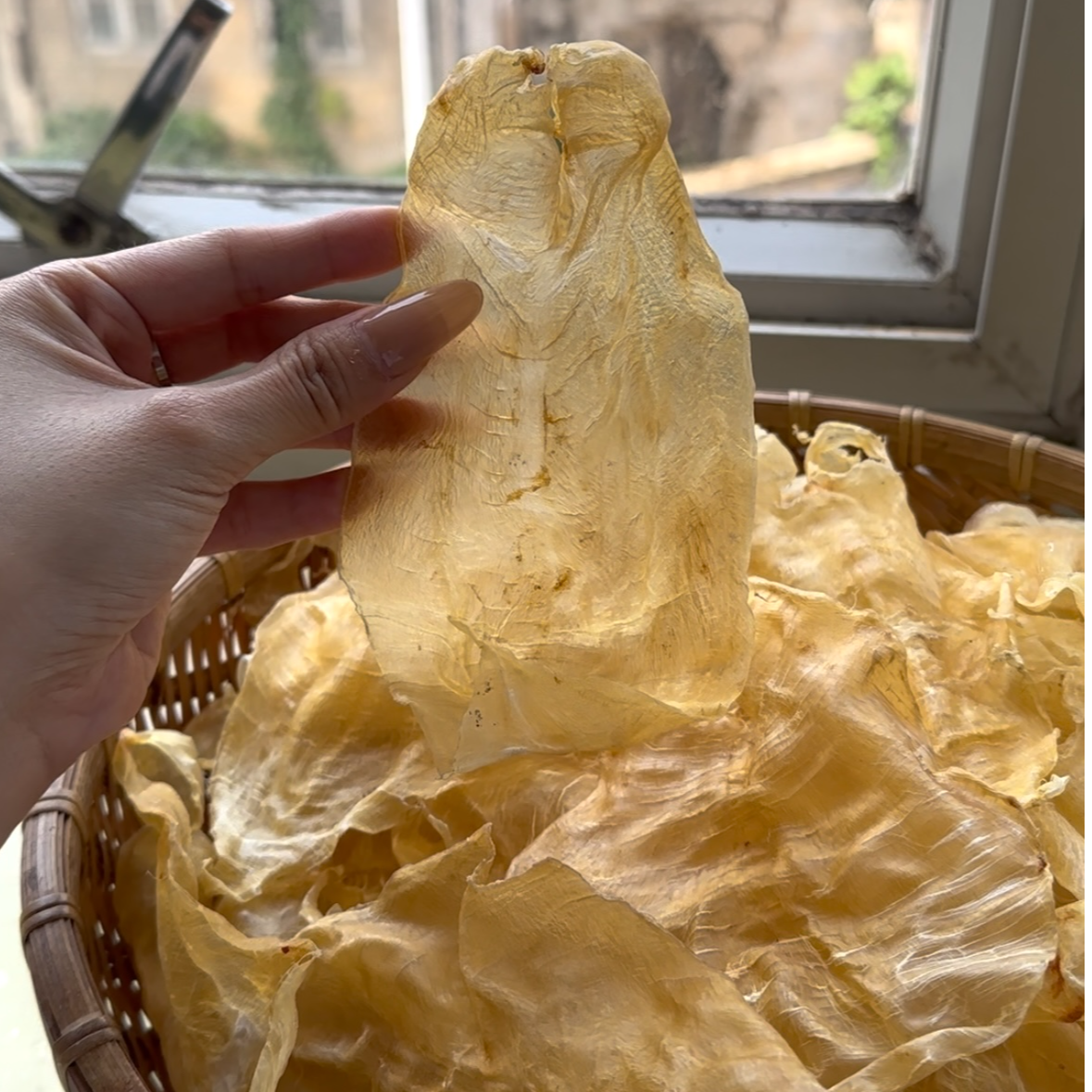H317740  裕初 甲肚片 500g  鱼胶 花胶 干货 广东汕头