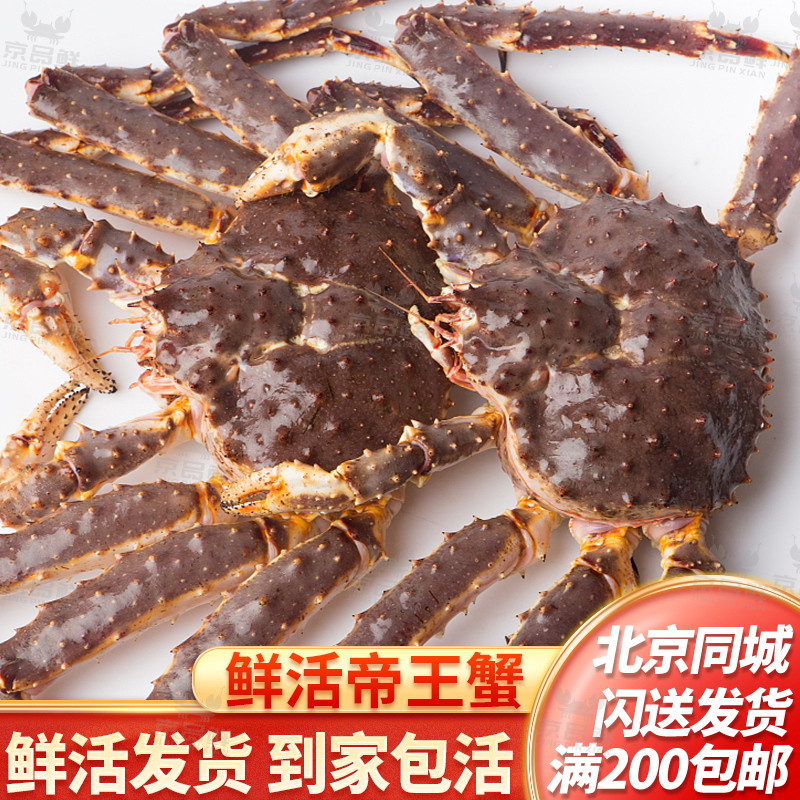 鲜活帝王蟹4-8斤/只北京闪送
