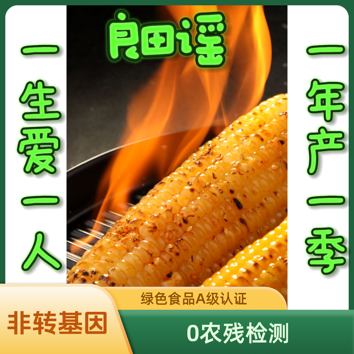 【试吃两根】25年头茬精品东北黄糯玉米共10根6.5-7.5斤左右糯香甜