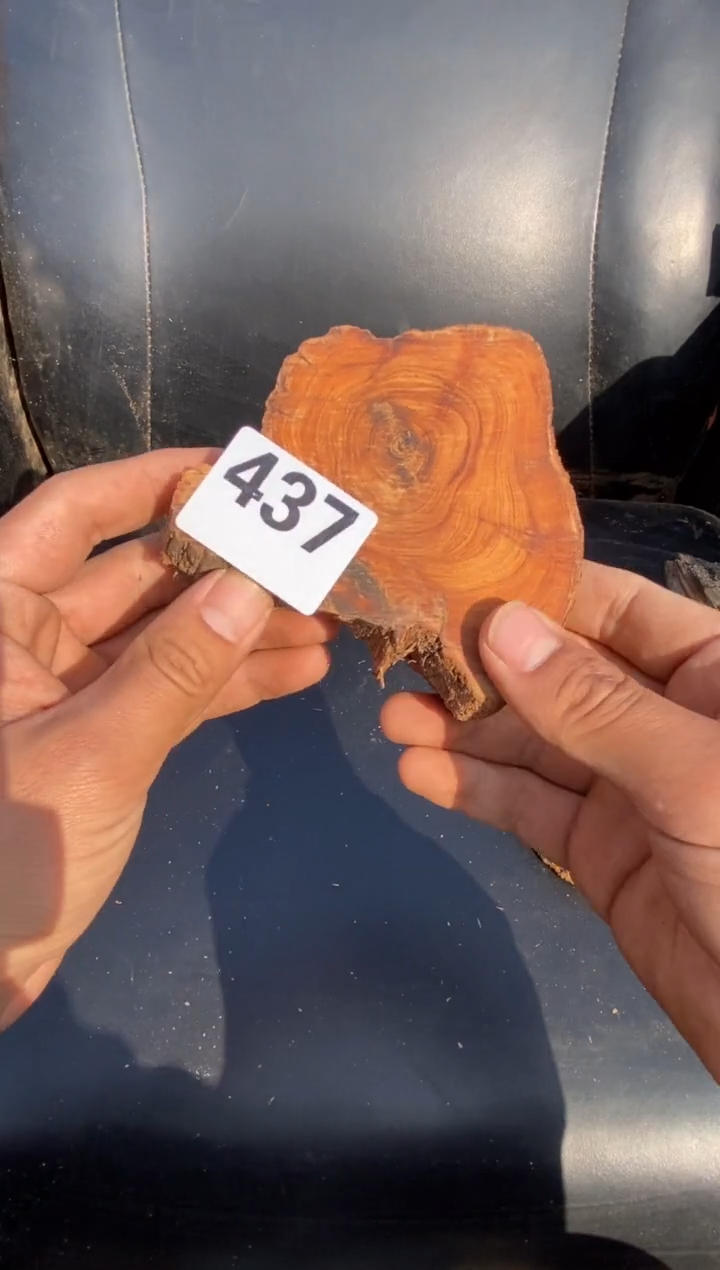 柏木（崖柏）太行陈化崖柏切片！随机（1单1片）437