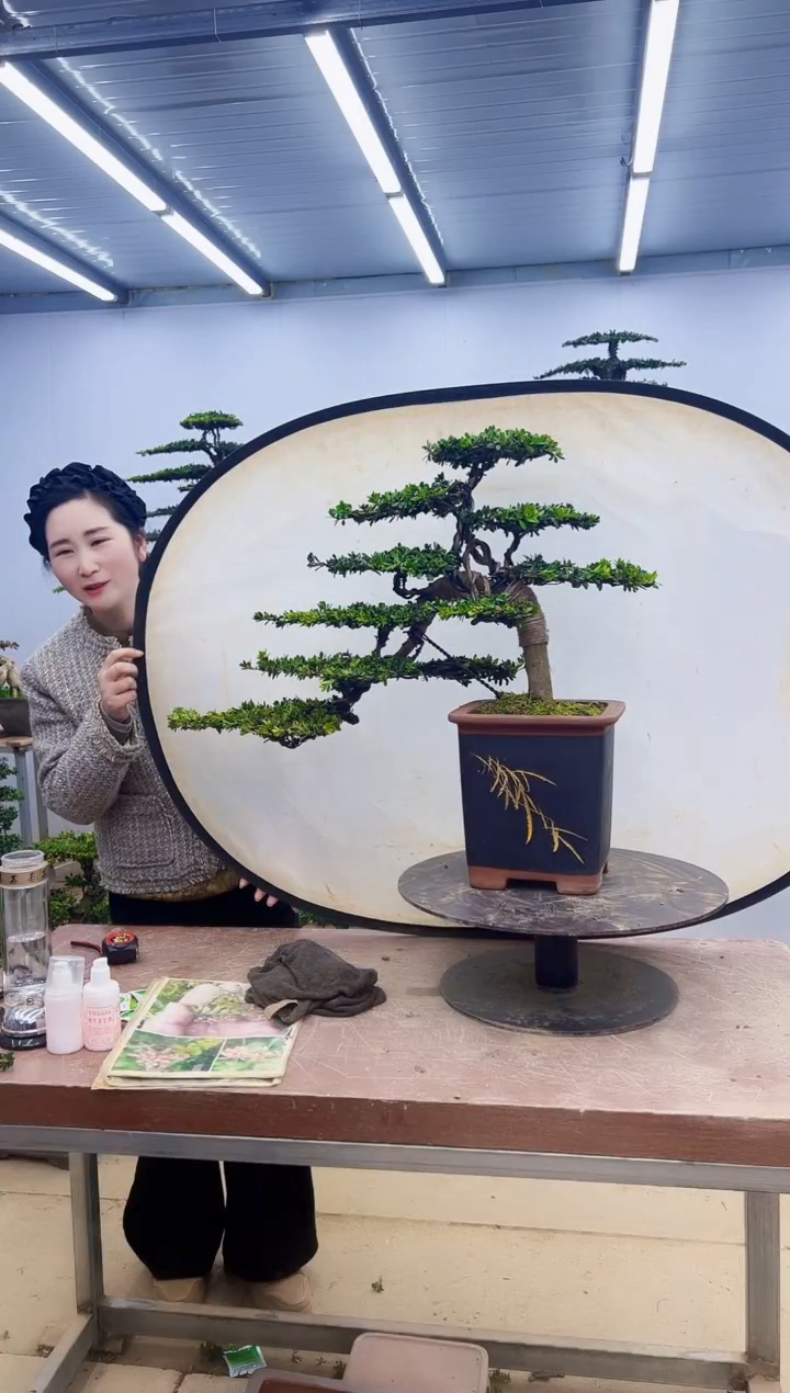 无花朵一物一拍，所见即所得