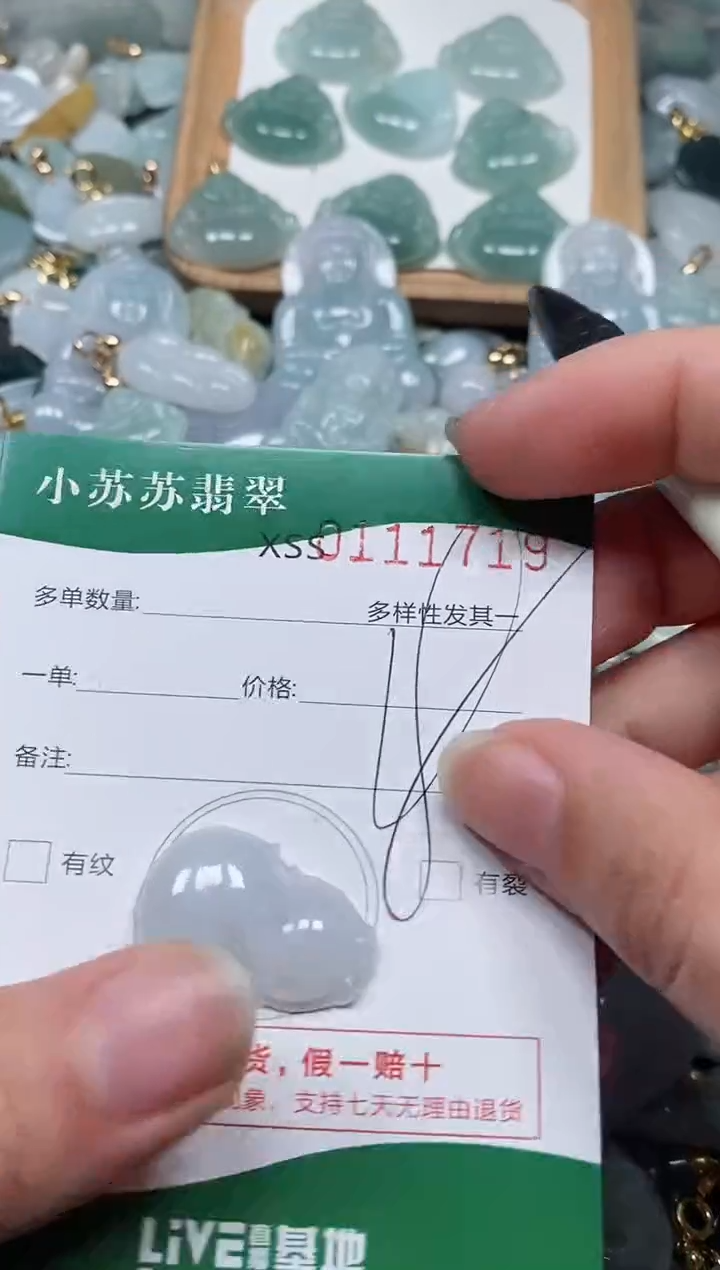 【闪购商品】翡翠颈饰未镶嵌闪购商品0111719