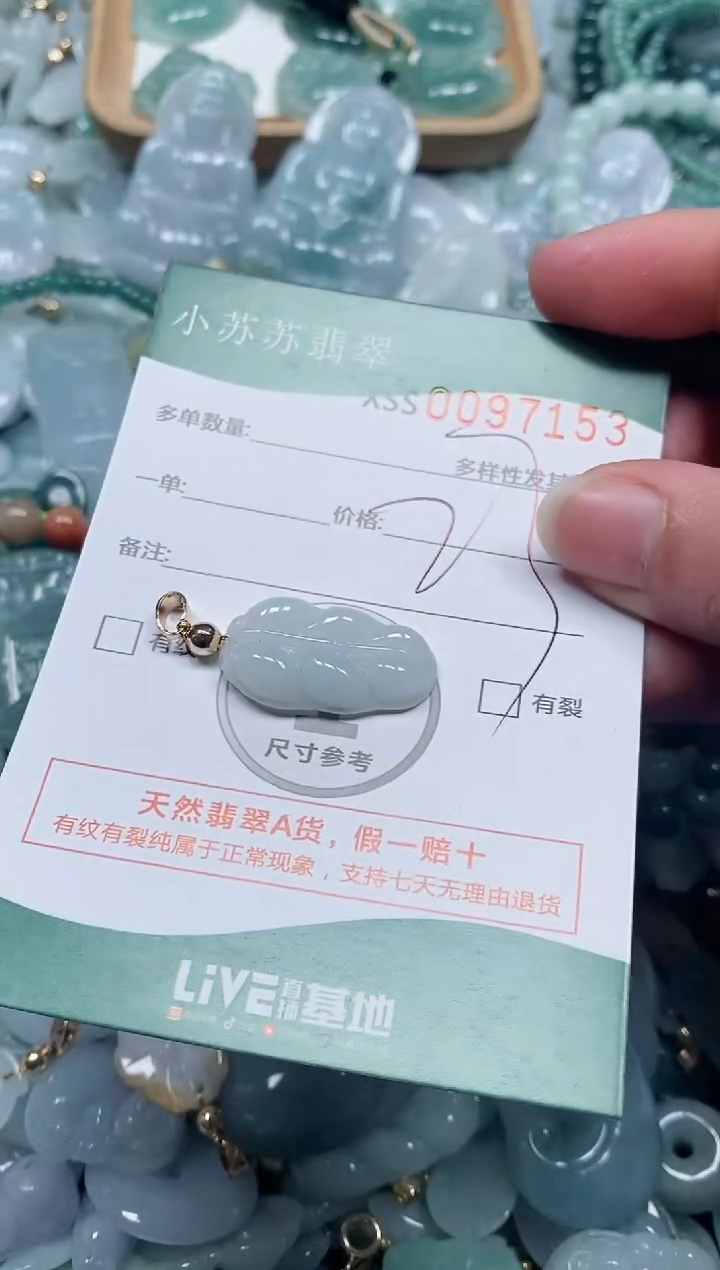 【闪购商品】翡翠颈饰未镶嵌闪购商品0097153