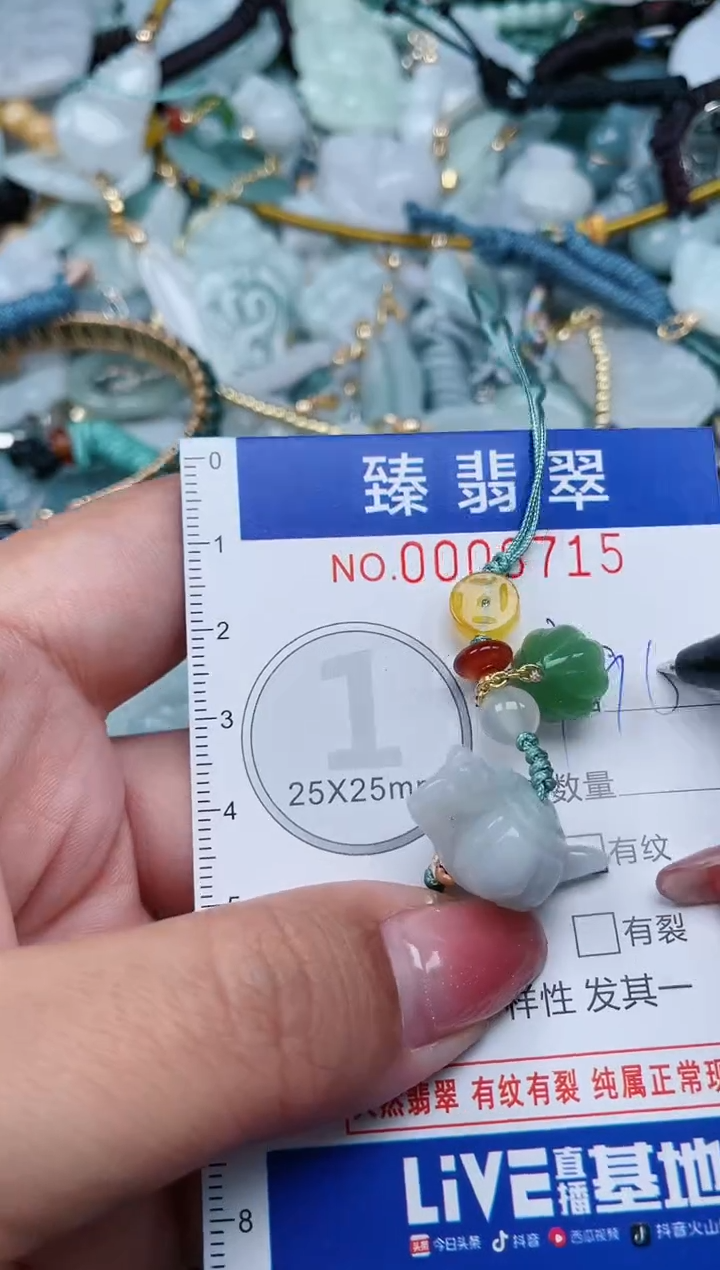 【闪购商品】翡翠颈饰未镶嵌.0006715