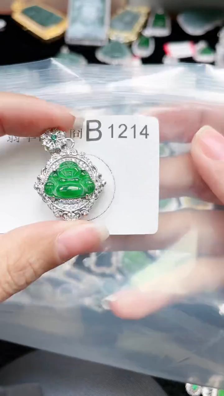 【闪购商品】翡翠颈饰未镶嵌赠皮绳1214