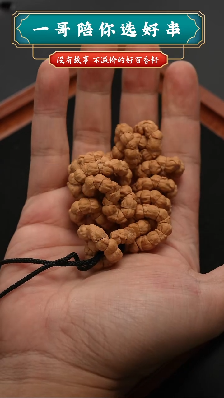 吊坠柏香籽/百香籽骨王肠