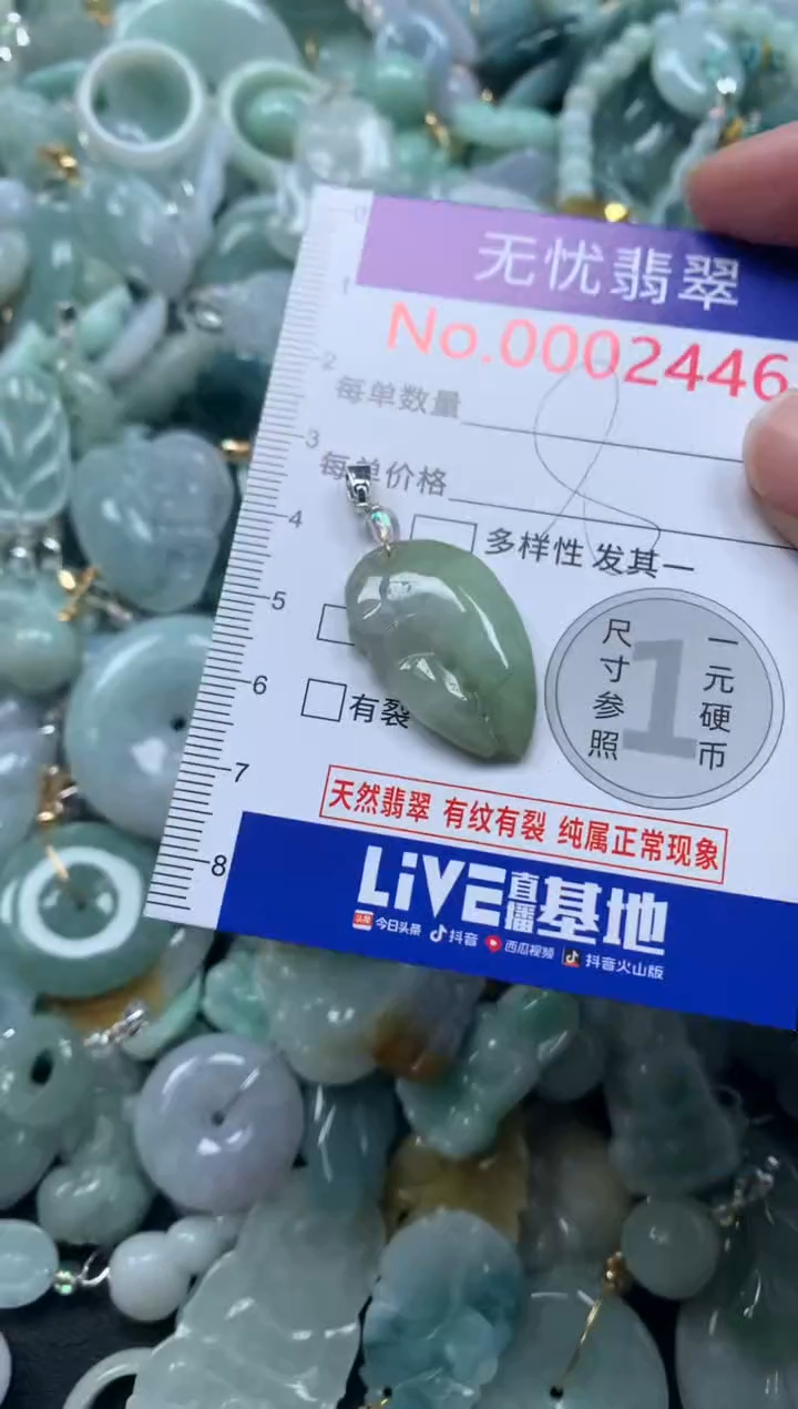 颈饰未镶嵌翡翠2446