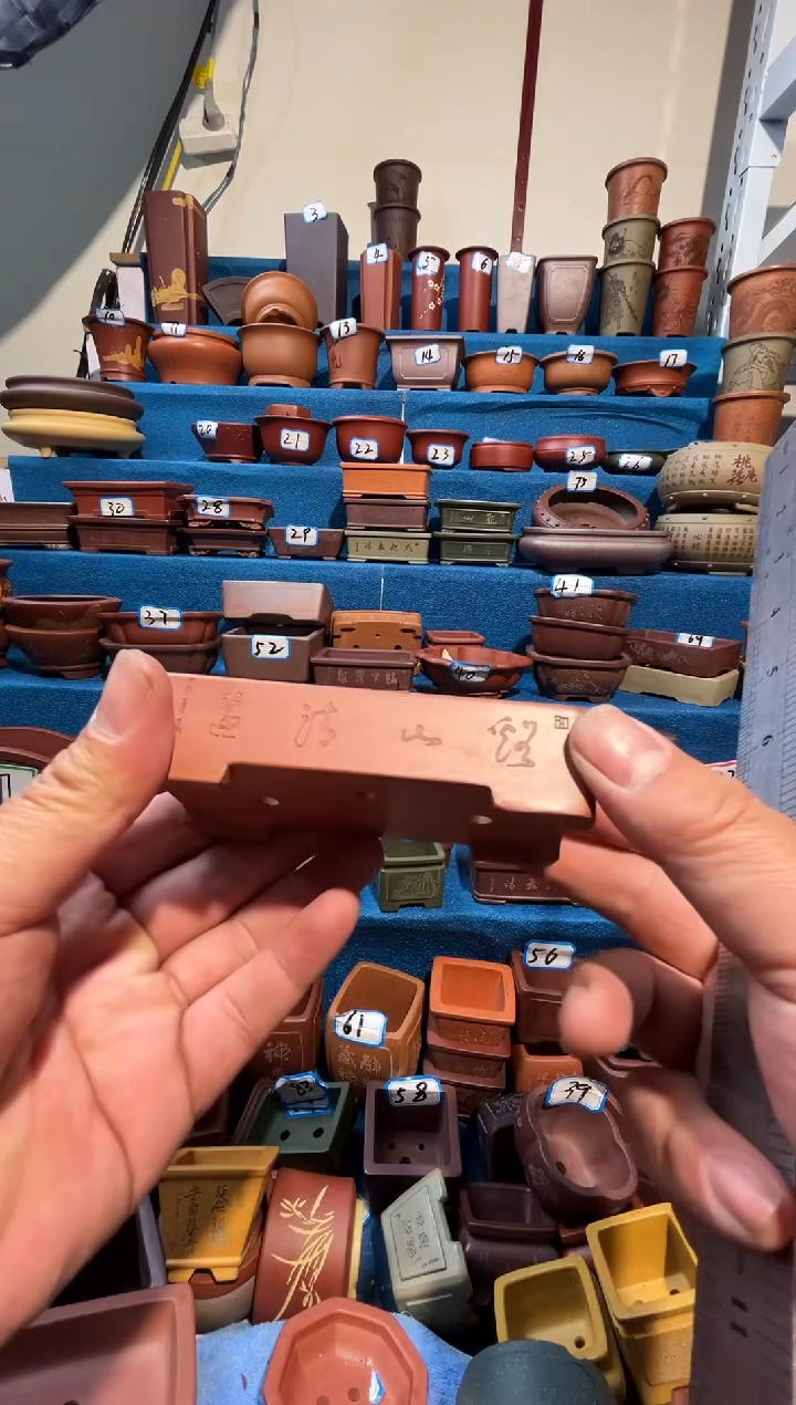 【闪购商品】紫砂紫砂花盆10*4.5*1.5微暇