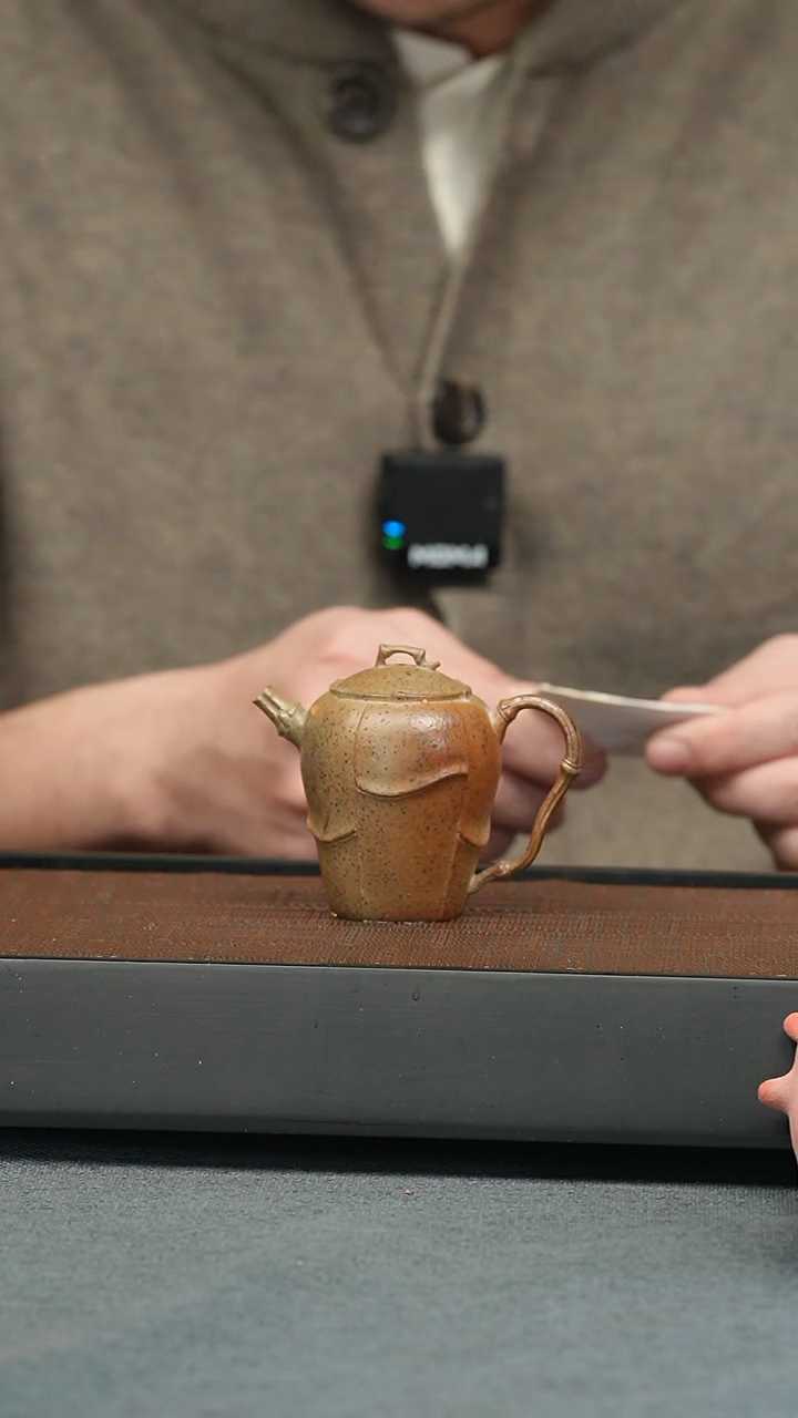 【闪购商品】紫砂茶壶五堂 竹影