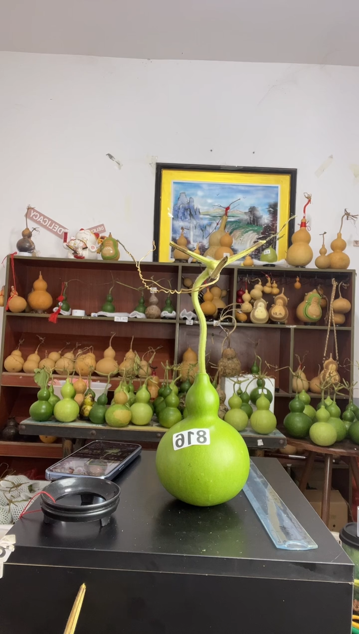 2****星816天然葫芦摆件 一物一拍龙头不保售后