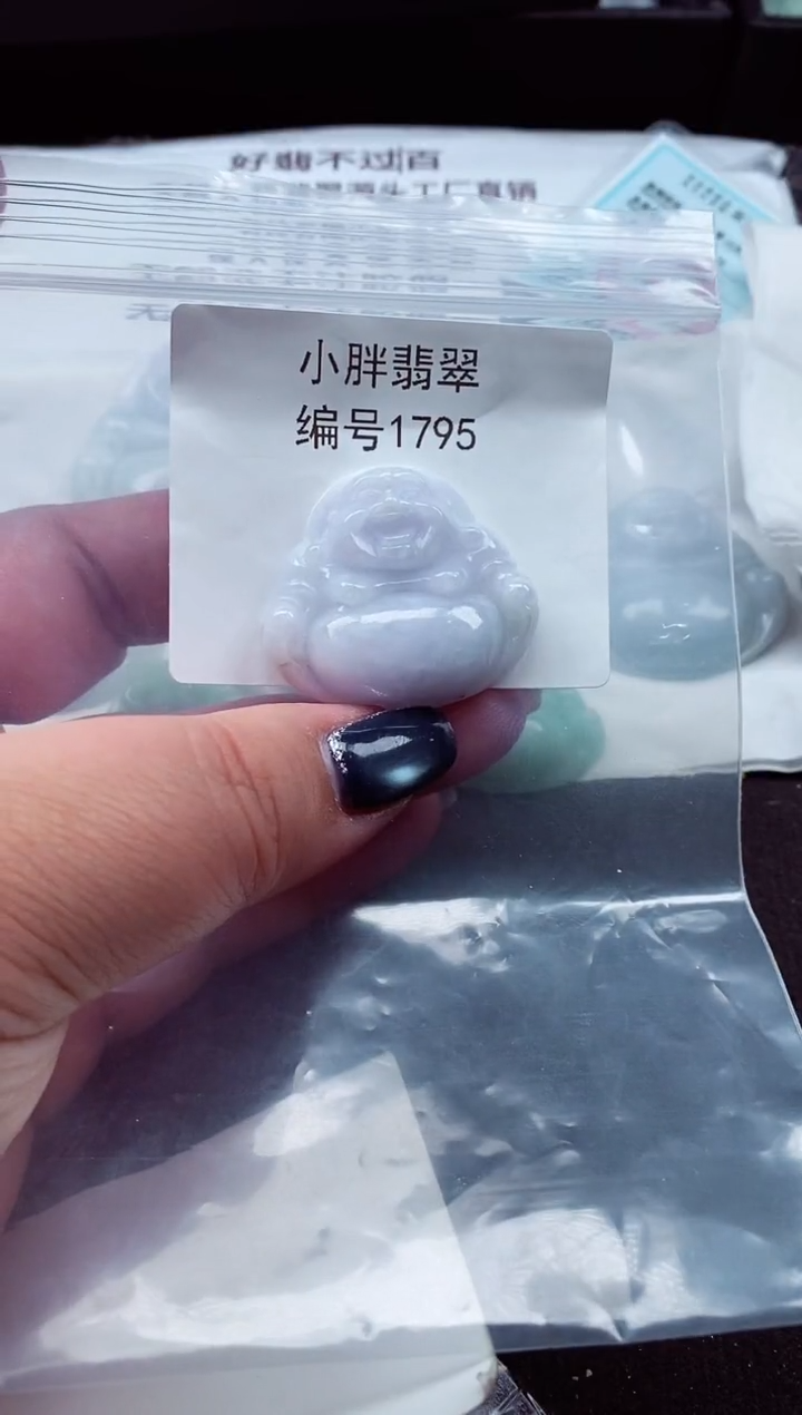 颈饰未镶嵌翡翠缅甸天然A货翡翠1795