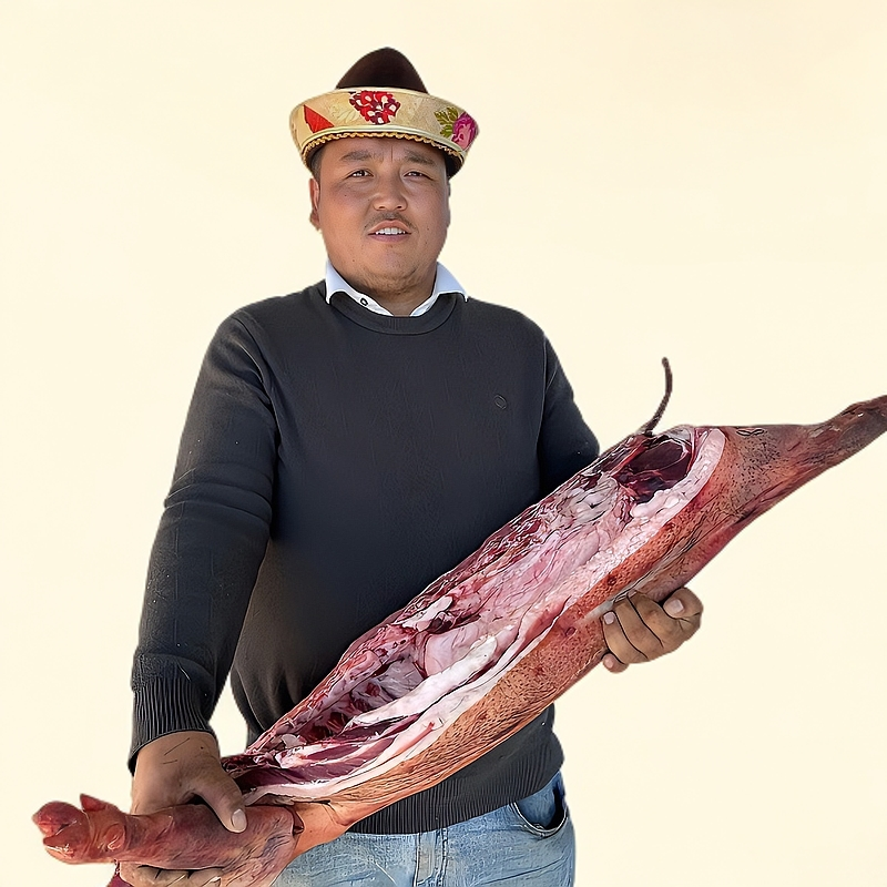 西藏林芝米瑞乡通麦村整只藏香猪（帕果）发邮政包邮到家