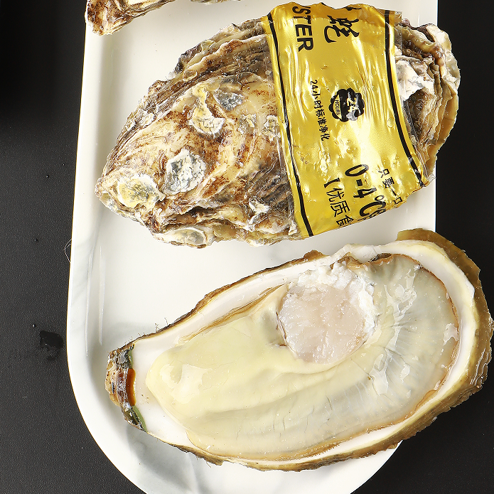 正宗乳山生蚝新鲜牡蛎带壳贝类海蛎子海鲜水产批发