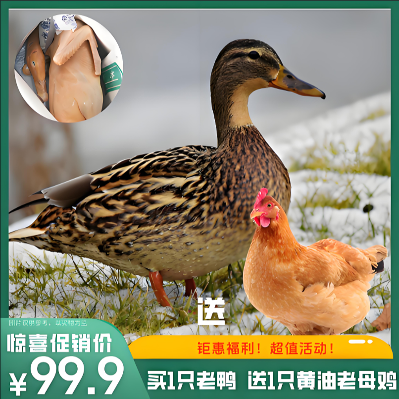 【买一送一】买一只四年老鸭(净膛)送一只黄油老母鸡 宰杀好净重8.5-9斤 顺丰冷链直达