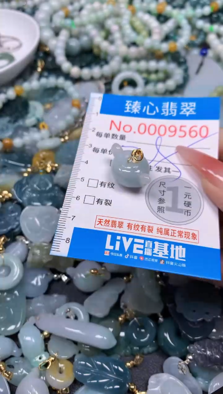 【闪购商品】翡翠颈饰未镶嵌含绳0009560