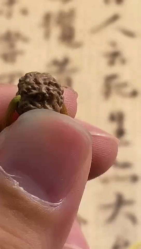 金刚菩提吊坠728老树王树祖尺寸8-10mm