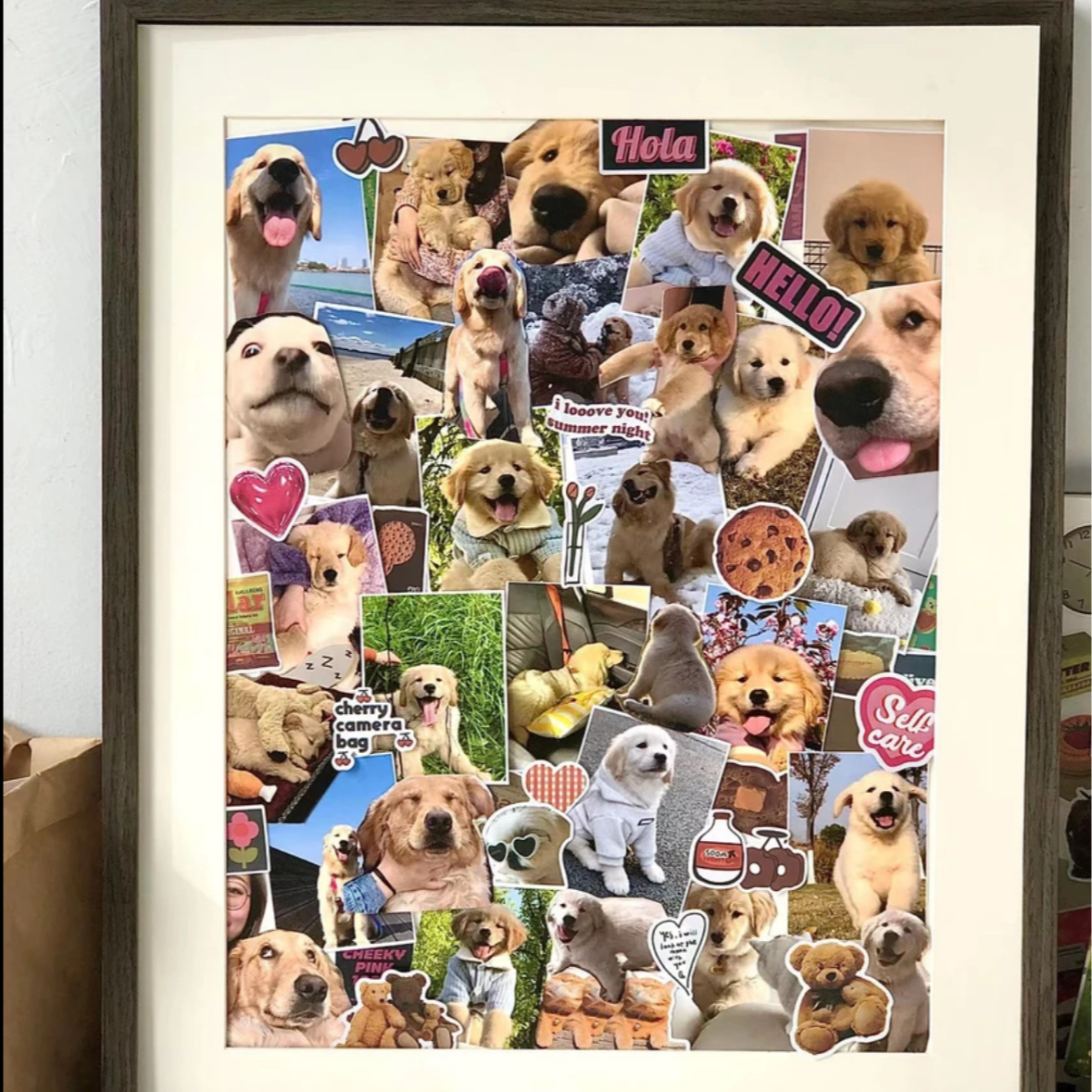 宠物相册记录美好生活1