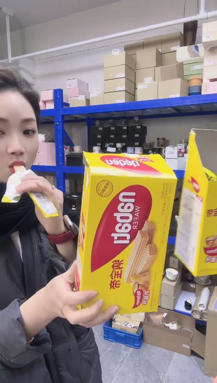 瓷片进口家用百货奶酪威化饼干两盒C330