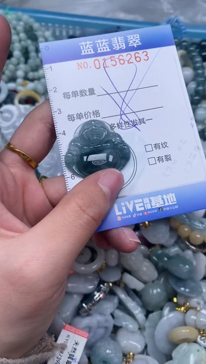 【闪购商品】翡翠颈饰未镶嵌闪购0156263