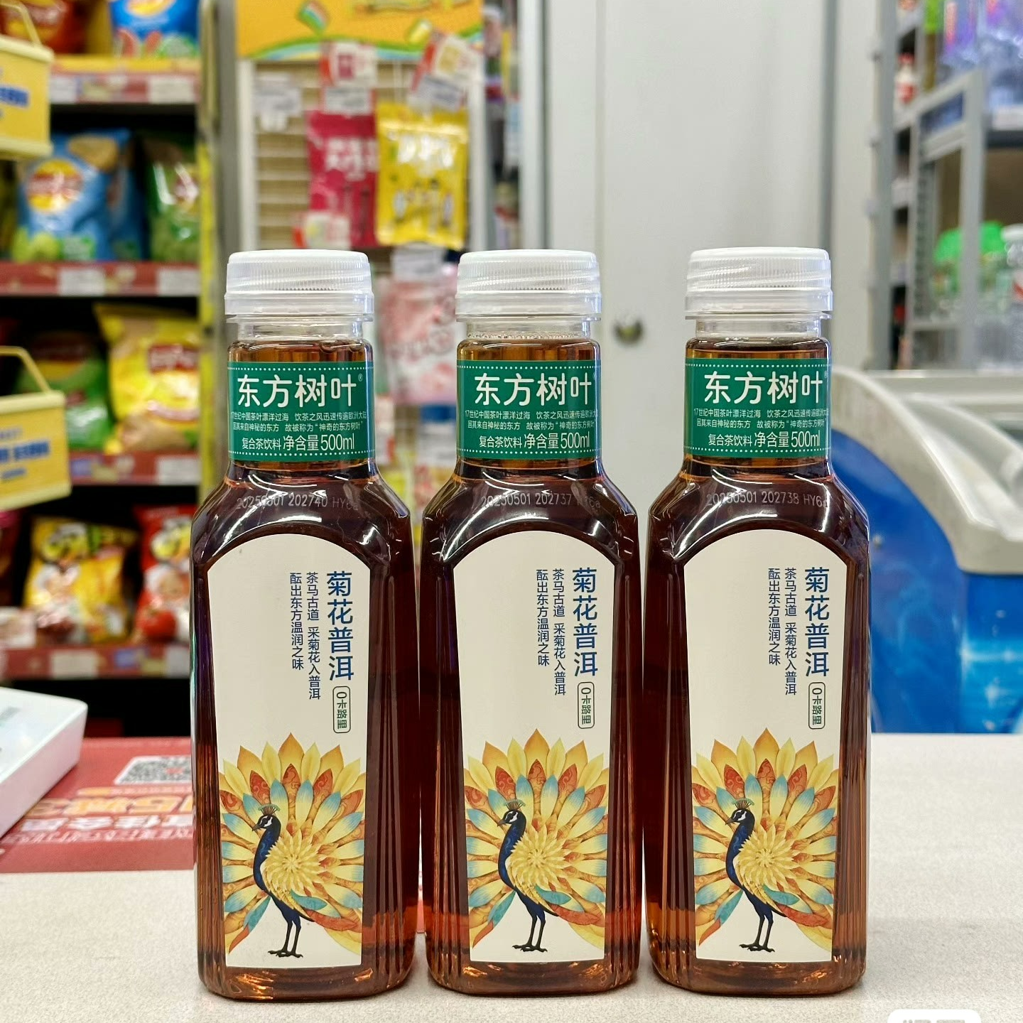 新品菊花普洱500ml*1瓶