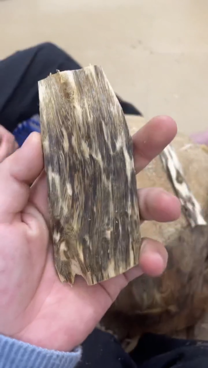 沉香沉香碎屑棋楠沉香 原料文创1