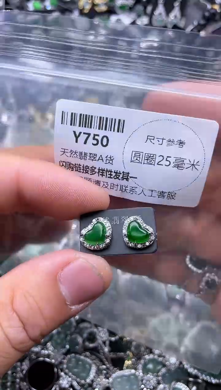 【闪购商品】翡翠颈饰未镶嵌Y750耳钉