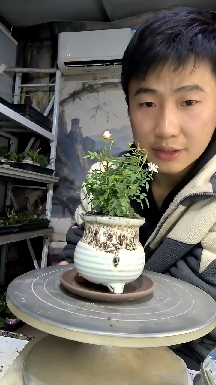 是****?中青园艺一物一拍花475