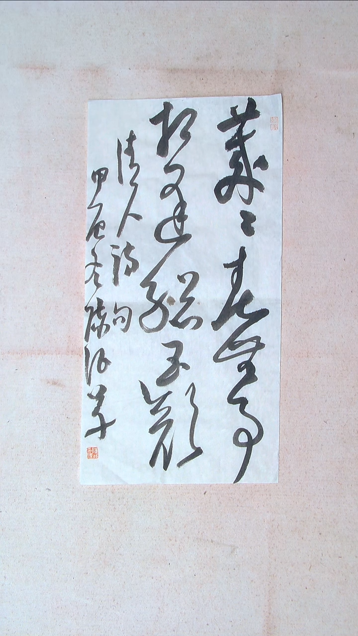 【闪购商品】书法陈征河南南阳69*34两平尺多字