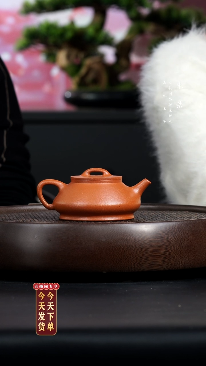 【闪购商品】紫砂茶壶0206早直播红降坡石瓢LZW