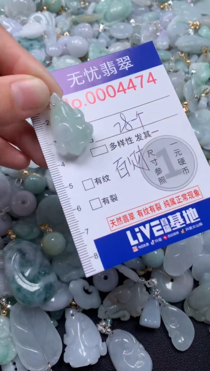 颈饰未镶嵌翡翠4474