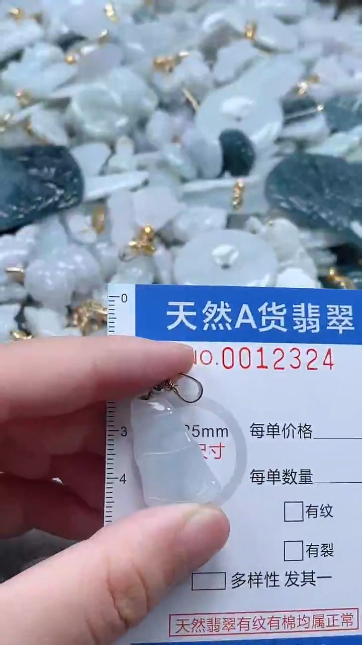 翡翠未镶嵌吊坠(不含链)1