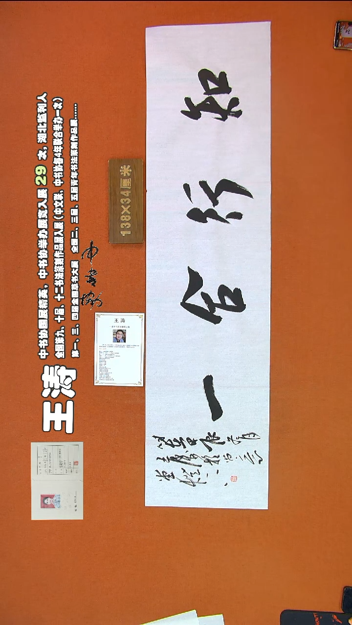 【闪购商品】书法317王涛书法作品