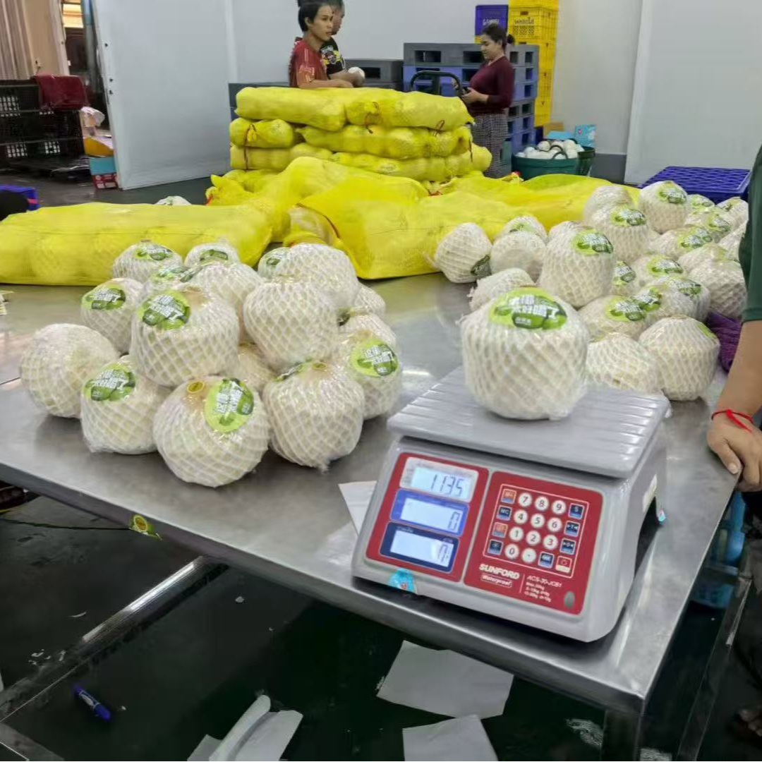 佳农椰青 2颗/箱