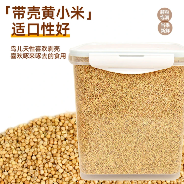 鸟粮黄谷子虎皮鹦鹉饲料新黄谷子玄风牡丹粮食文鸟带壳小米鸟粮